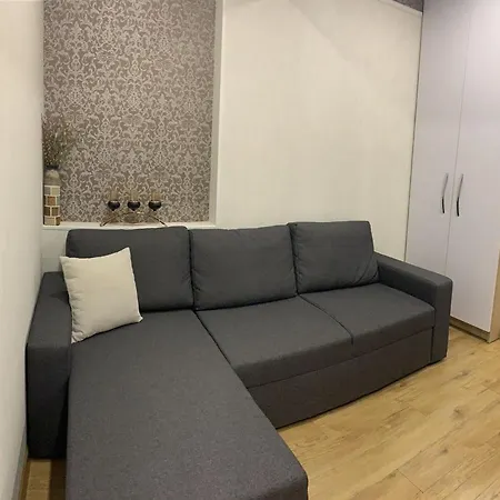 Apartament Gata Sa Primeasca Oaspeti Pentru O Odihna Lägenhet *